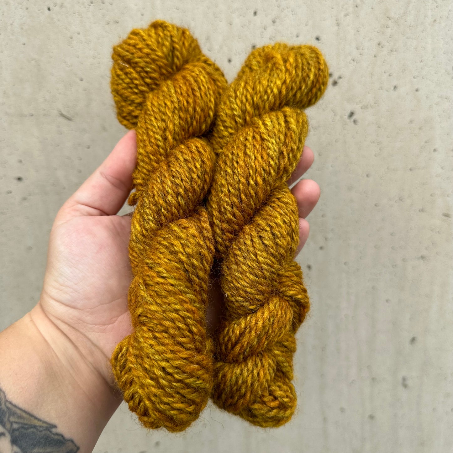 Bruse - Gylden oker på grå