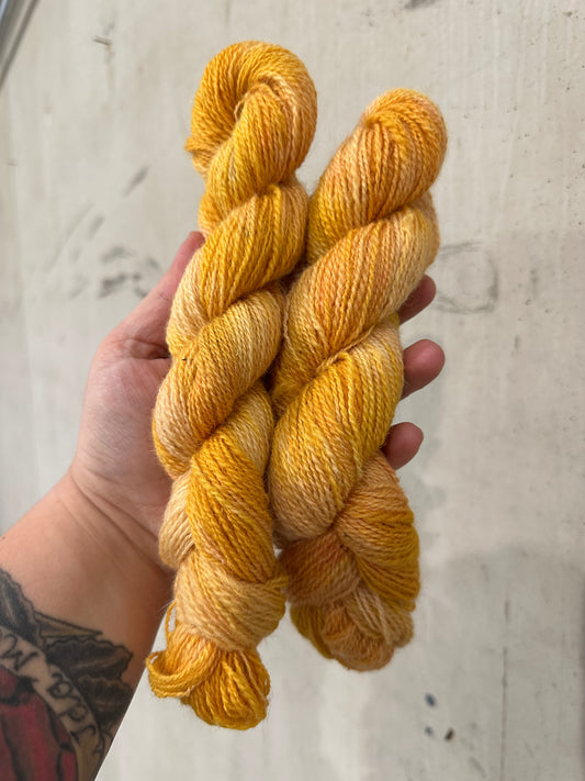 Dråppå - Kantarell